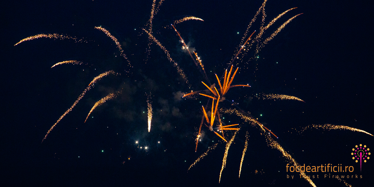 forza zu 2018 confetti