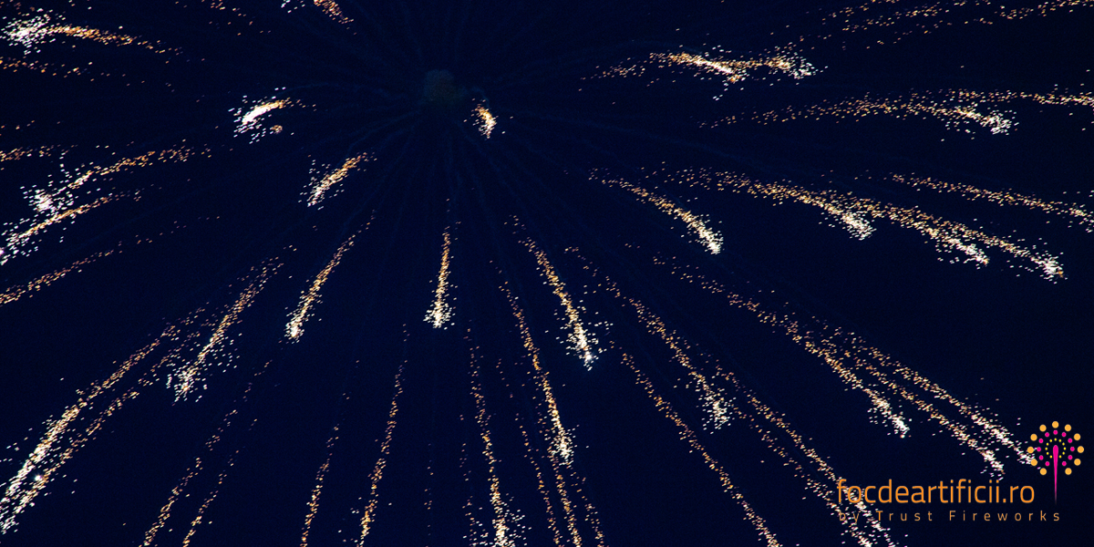 forza zu 2018 confetti Iasi