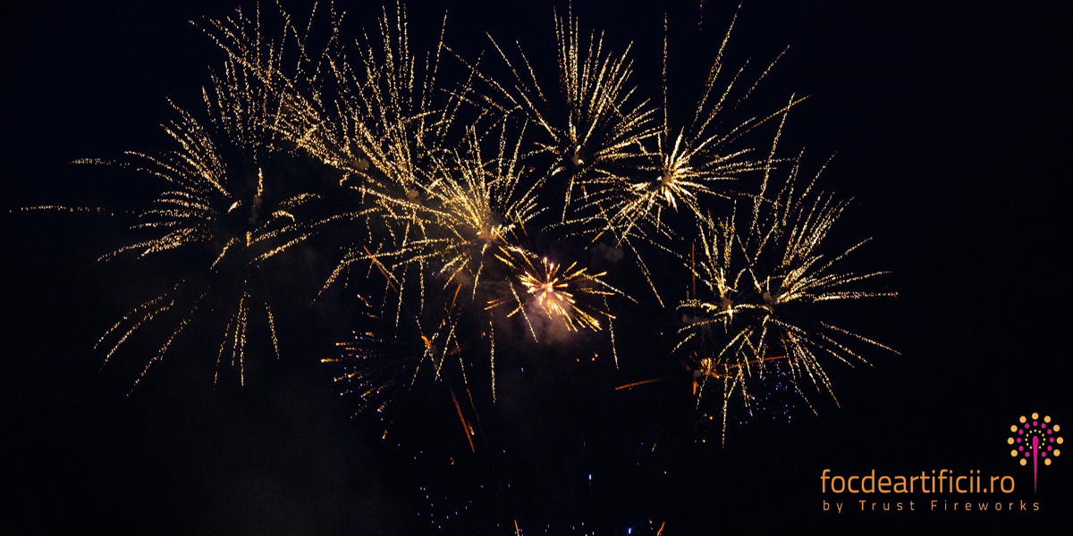 forza zu 2018 jeturi CO2