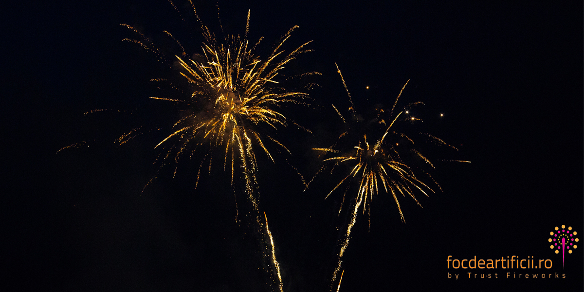 forza zu 2018 jeturi CO2