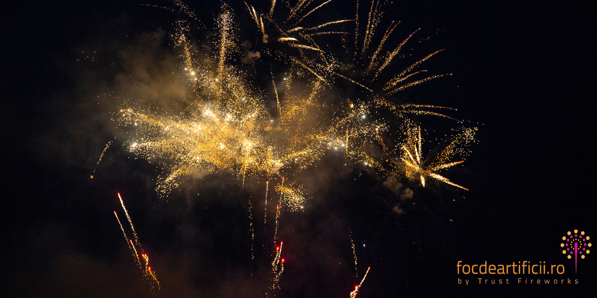 CO 2 efecte speciale