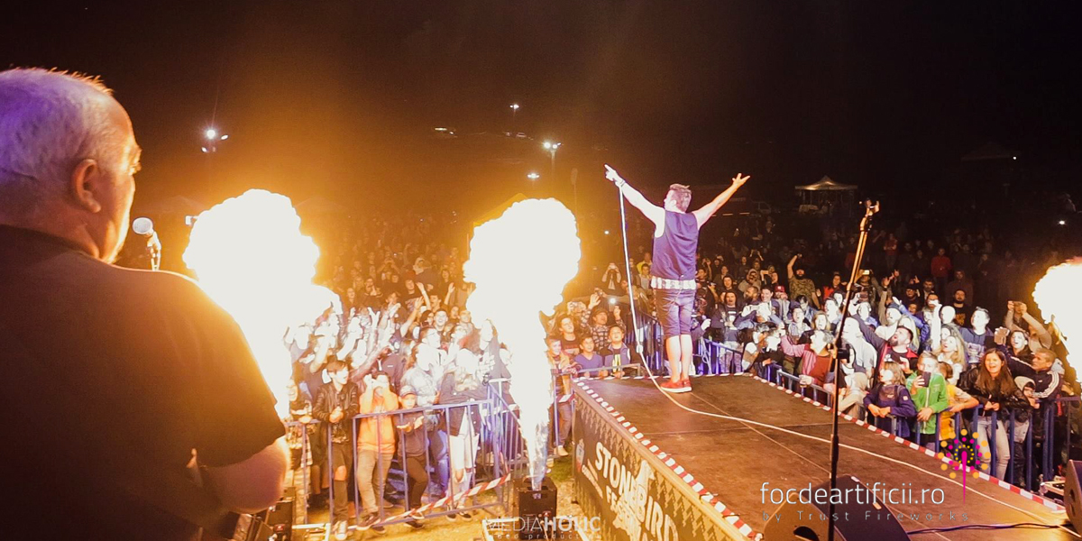 foc de artificii StoneBird