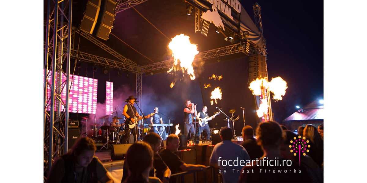 foc de artificii StoneBird