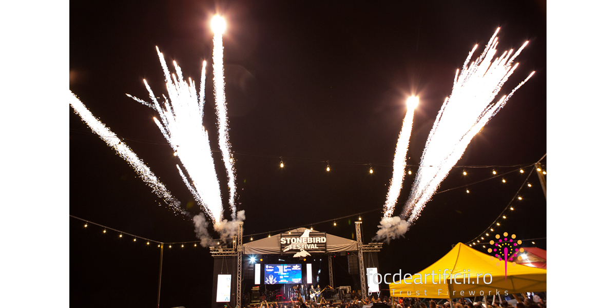 efecte speciale StoneBird