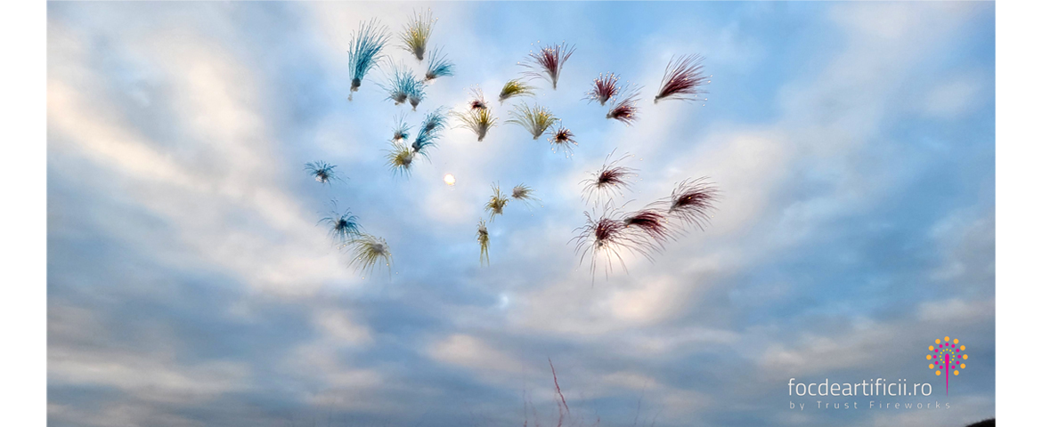 Bias 2022 daytime fireworks